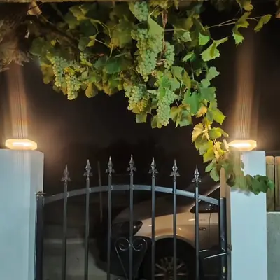 Cachos de uvas sobre um portão, à noite